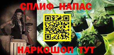 не бодяженный Славгород