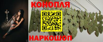 ПСИЛОЦИБИНОВЫЕ ГРИБЫ Сланцы