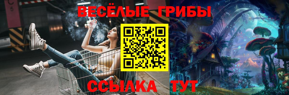 Артёмовский  Галлюциногенные грибы MAGIC MUSHROOMS  Галлюциногенные грибы GOLDEN TEACHER  Вход с VPN 